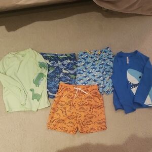 3T And 4T Swim Shorts And Rashguards Dinosaur and Shark Prints